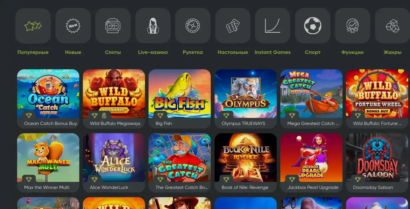 График выплат и доступные платежные системы